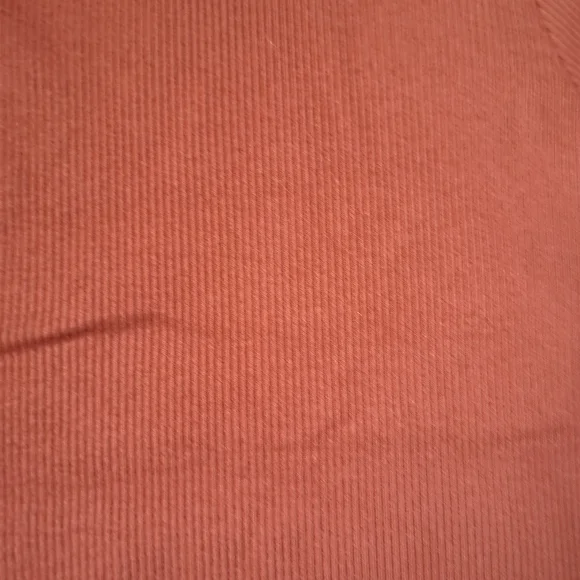 wild fable Short Sleeve Ribbed Tee in Rust - Picture 4 of 5